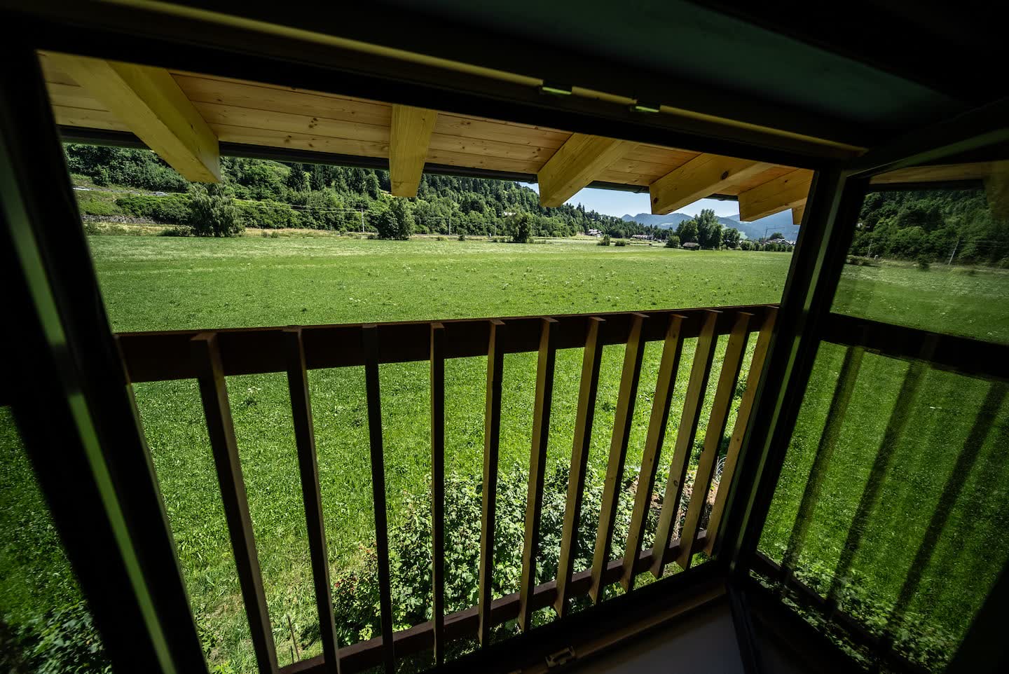 Blick aus dem Fenster auf die Wiese